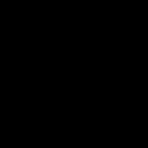 Meet your Posher, Sowmya